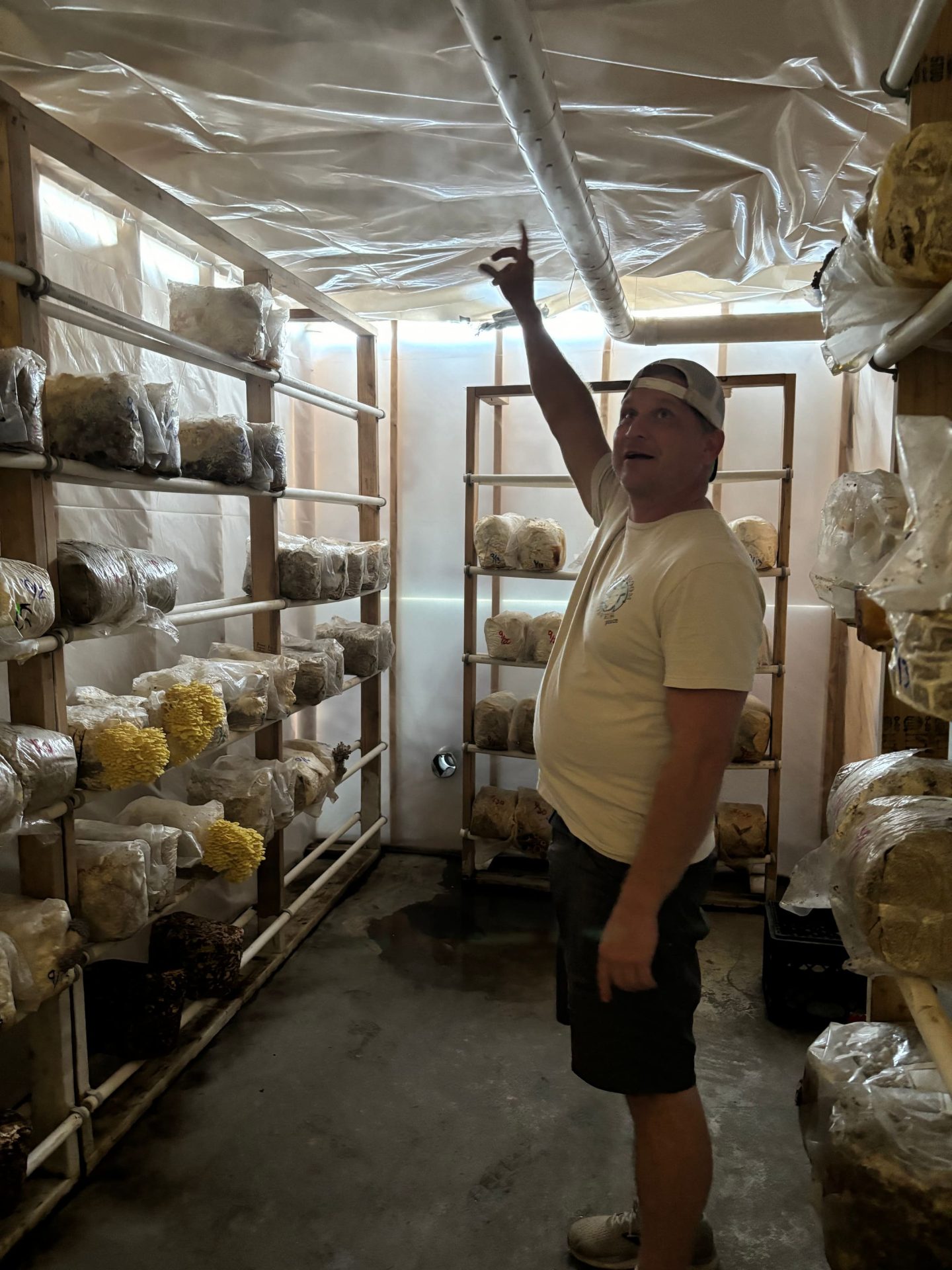 Mushroom Dave in his Missouri mushroom grown room